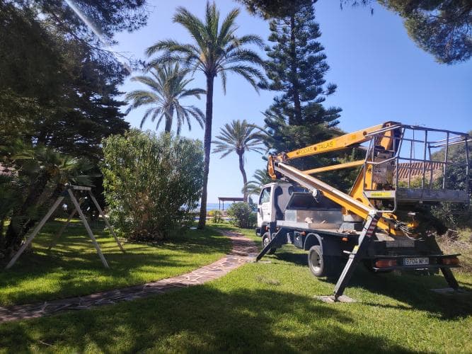 Trabajo realizado 2