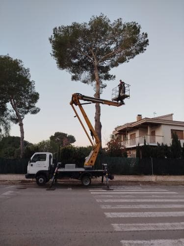 Trabajo realizado 3